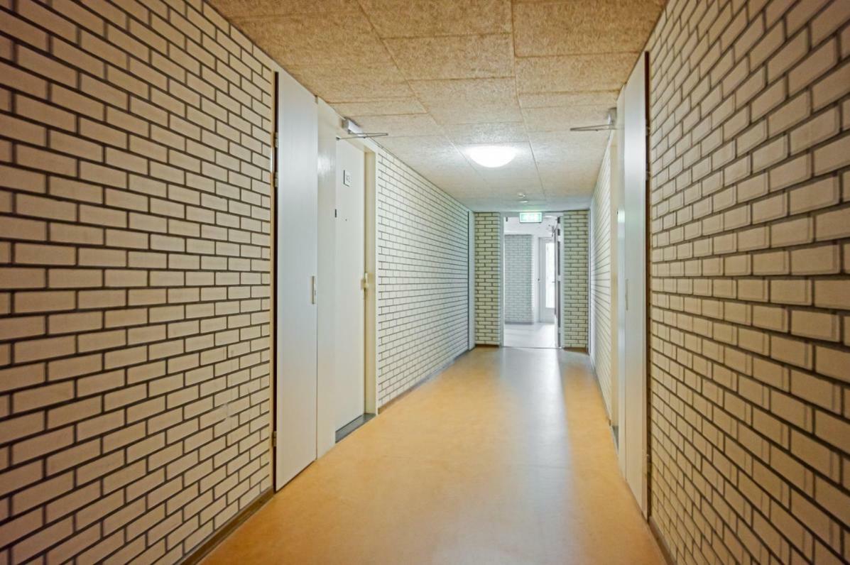 Strandslag Apartament Julianadorp Zewnętrze zdjęcie